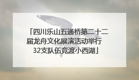 四川乐山五通桥第二十二届龙舟文化展演活动举行 32支队伍竞渡小西湖