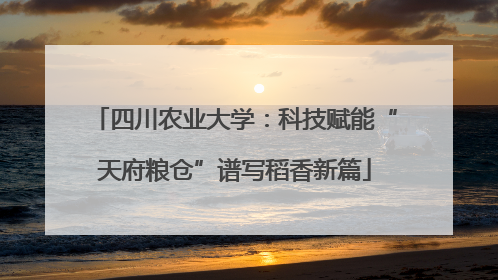 四川农业大学：科技赋能“天府粮仓”谱写稻香新篇