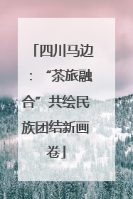 四川马边：“茶旅融合”共绘民族团结新画卷
