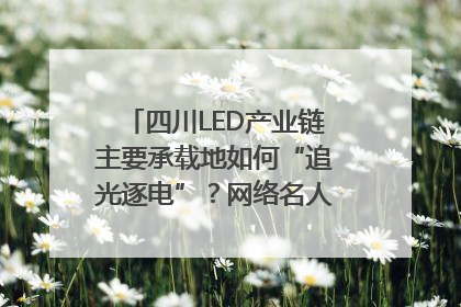 四川LED产业链主要承载地如何“追光逐电”？网络名人走进攀枝花找答案｜网络名人四川行
