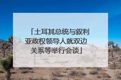 土耳其总统与叙利亚政权领导人就双边关系等举行会谈