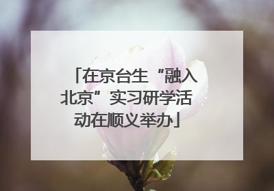 在京台生“融入北京”实习研学活动在顺义举办