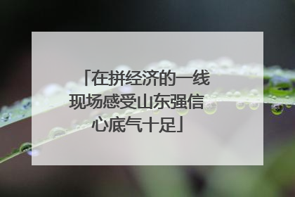 在拼经济的一线现场感受山东强信心底气十足