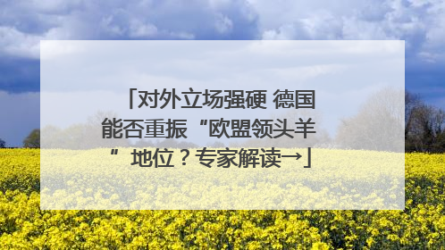 对外立场强硬 德国能否重振“欧盟领头羊”地位？专家解读→