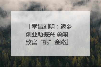 孝昌刘明：返乡创业助振兴 勇闯致富“桃”金路