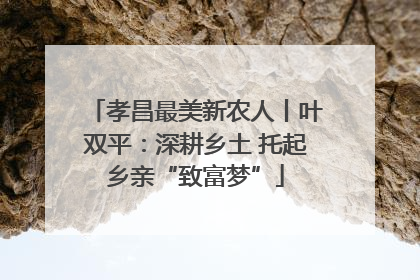 孝昌最美新农人丨叶双平：深耕乡土 托起乡亲“致富梦”