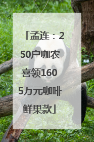 孟连：250户咖农喜领1605万元咖啡鲜果款