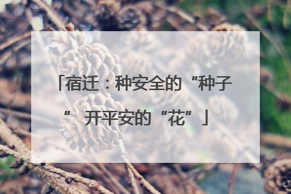 宿迁：种安全的“种子” 开平安的“花”