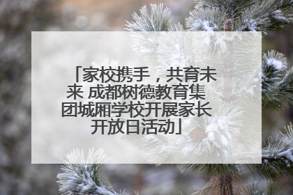 家校携手，共育未来 成都树德教育集团城厢学校开展家长开放日活动