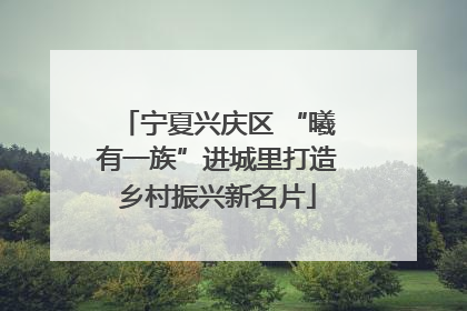 宁夏兴庆区 “曦有一族”进城里打造乡村振兴新名片