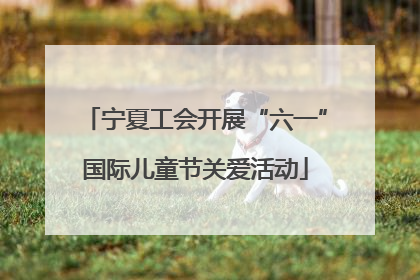 宁夏工会开展“六一”国际儿童节关爱活动