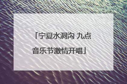 宁夏水洞沟 九点音乐节激情开唱