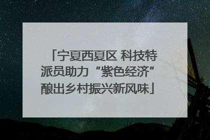 宁夏西夏区 科技特派员助力“紫色经济”酿出乡村振兴新风味