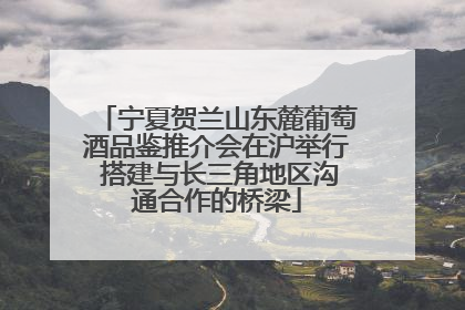 宁夏贺兰山东麓葡萄酒品鉴推介会在沪举行 搭建与长三角地区沟通合作的桥梁