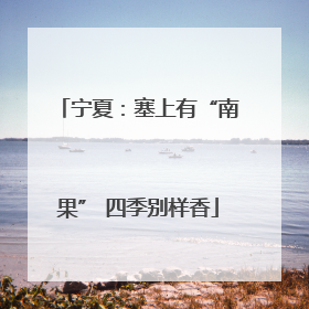 宁夏：塞上有“南果” 四季别样香
