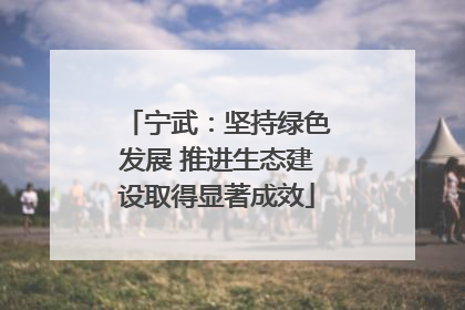 宁武：坚持绿色发展 推进生态建设取得显著成效