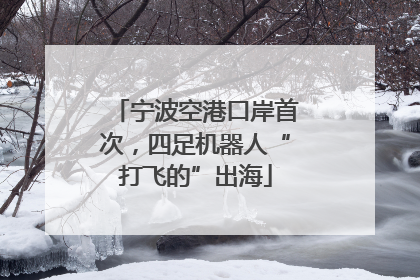 宁波空港口岸首次，四足机器人“打飞的”出海