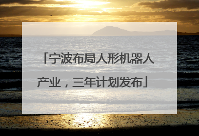 宁波布局人形机器人产业，三年计划发布