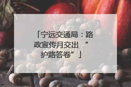 宁远交通局：路政宣传月交出 “护路答卷”