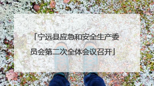 宁远县应急和安全生产委员会第二次全体会议召开