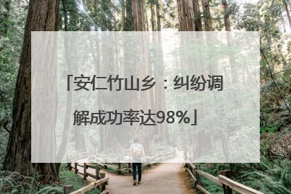 安仁竹山乡：纠纷调解成功率达98%
