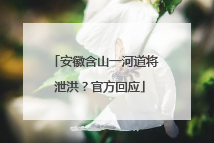 安徽含山一河道将泄洪？官方回应