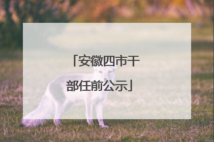 安徽四市干部任前公示