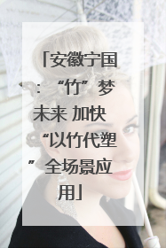 安徽宁国：“竹”梦未来 加快“以竹代塑”全场景应用