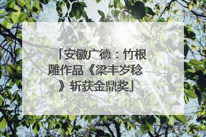 安徽广德：竹根雕作品《梁丰岁稔》斩获金鼎奖