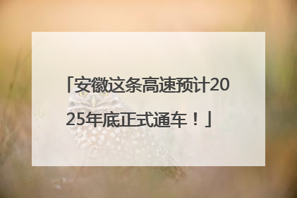 安徽这条高速预计2025年底正式通车！
