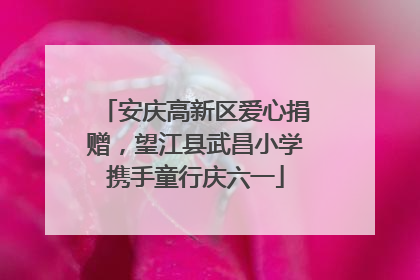 安庆高新区爱心捐赠，望江县武昌小学携手童行庆六一