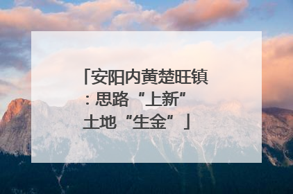 安阳内黄楚旺镇：思路“上新” 土地“生金”