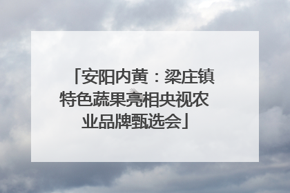 安阳内黄：梁庄镇特色蔬果亮相央视农业品牌甄选会