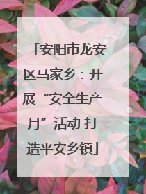 安阳市龙安区马家乡：开展“安全生产月”活动 打造平安乡镇