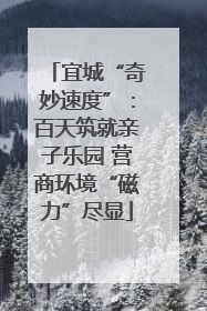 宜城“奇妙速度”：百天筑就亲子乐园 营商环境“磁力”尽显