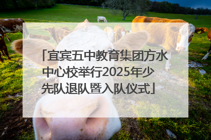 宜宾五中教育集团方水中心校举行2025年少先队退队暨入队仪式