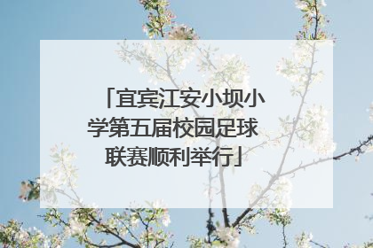 宜宾江安小坝小学第五届校园足球联赛顺利举行