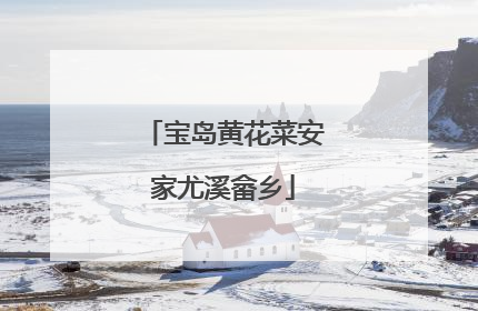 宝岛黄花菜安家尤溪畲乡