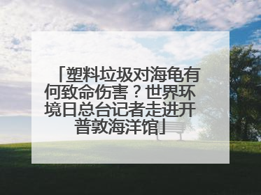 塑料垃圾对海龟有何致命伤害？世界环境日总台记者走进开普敦海洋馆