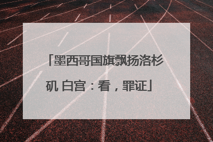 墨西哥国旗飘扬洛杉矶 白宫：看，罪证