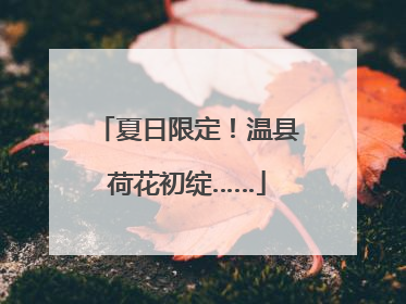 夏日限定！温县荷花初绽……