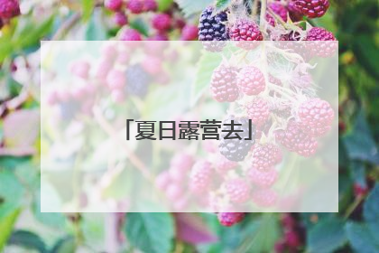 夏日露营去