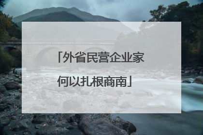 外省民营企业家何以扎根商南