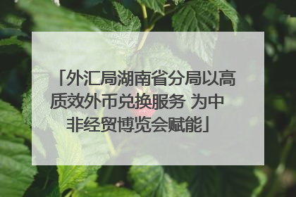 外汇局湖南省分局以高质效外币兑换服务 为中非经贸博览会赋能