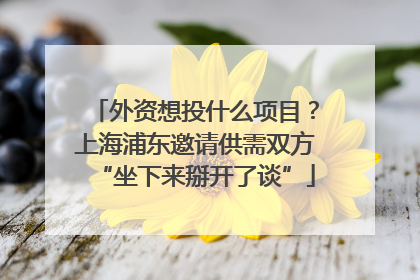 外资想投什么项目？上海浦东邀请供需双方“坐下来掰开了谈”