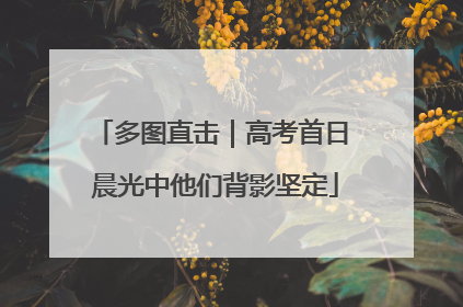 多图直击｜高考首日 晨光中他们背影坚定