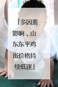 多因素影响，山东东平鸡蛋价格持续低迷