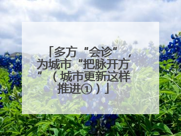 多方“会诊”，为城市“把脉开方”（城市更新这样推进①）