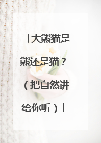 大熊猫是熊还是猫？（把自然讲给你听）