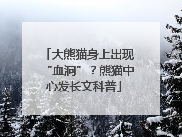 大熊猫身上出现“血洞”？熊猫中心发长文科普